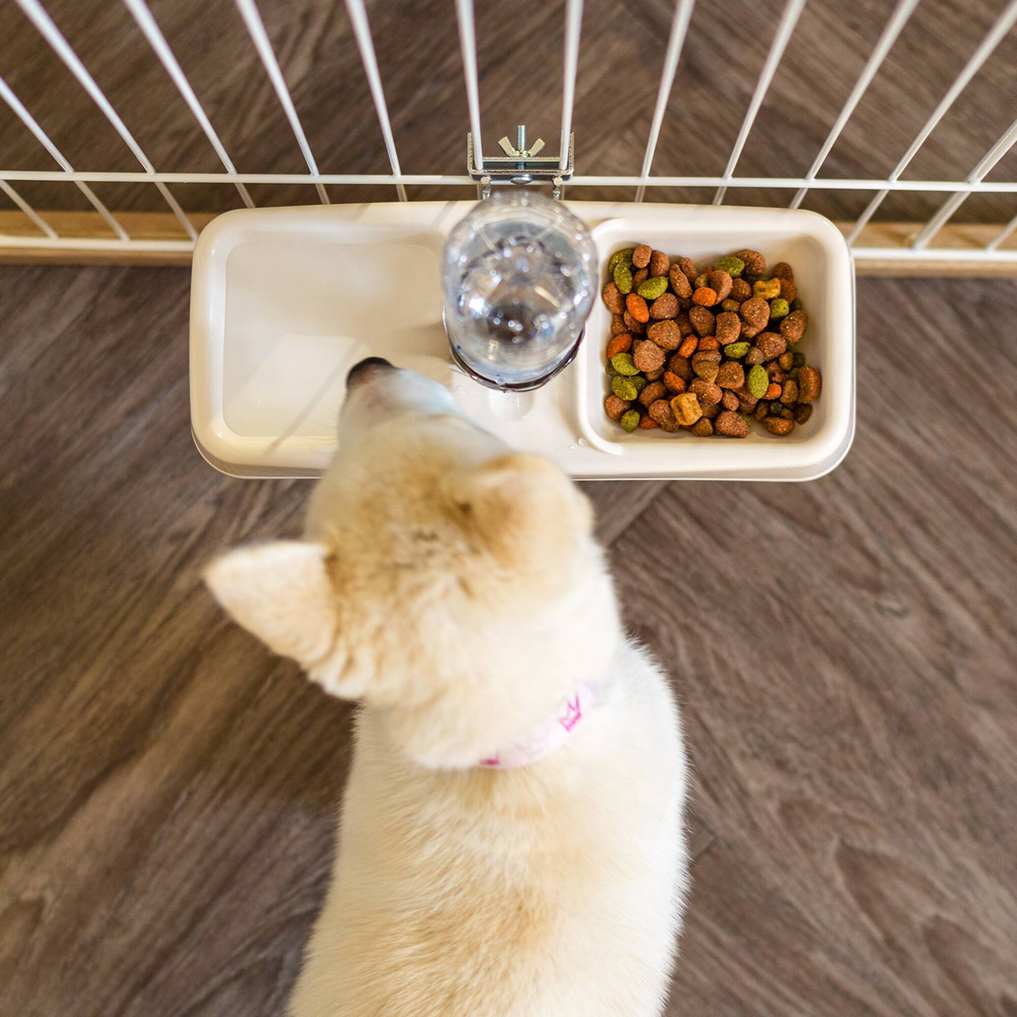 Iris® Beige Pet Crate Water Feeder
